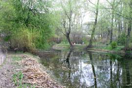 Старый пруд